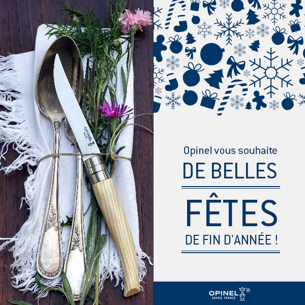 Набор столовых ножей Opinel VRI Ashwood из 4-х штук 0018282 от прозводителя Opinel