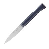 Нож столовый Opinel, Newintempor, пластиковая ручка, нерж, сталь. 002223 002223 от прозводителя Opinel