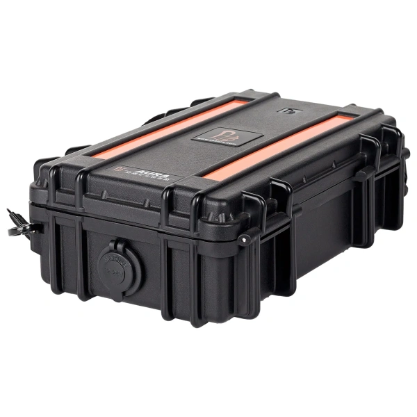 Аккумулятор LiFePo4 12v 30Ah чемодан PB1230Ch от прозводителя Prombattery