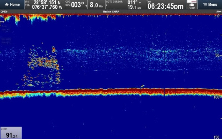 Raymarine CP570 E70258 от прозводителя Raymarine