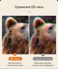 Бинокль Eyeskey Vigil - 12x50 EyeS-B152 от прозводителя Eyeskey