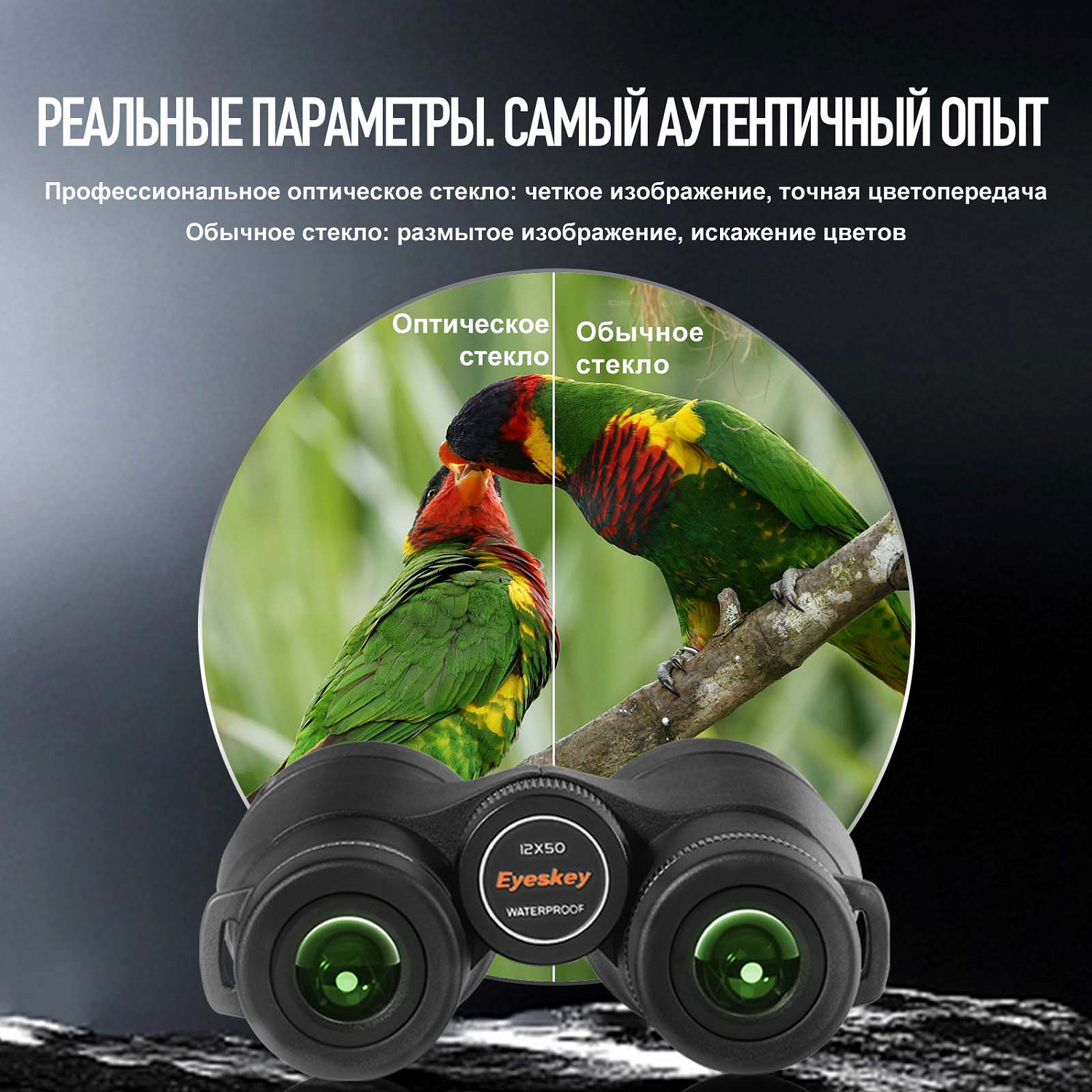 Бинокль Eyeskey Surge - 10x42