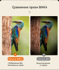 Бинокль Eyeskey Vigil - 12x50 EyeS-B152 от прозводителя Eyeskey