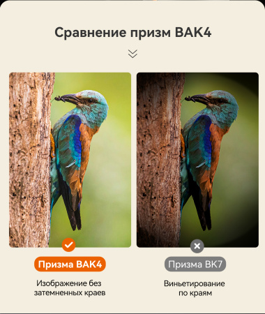 Бинокль Eyeskey Vigil - 12x50 EyeS-B152 от прозводителя Eyeskey